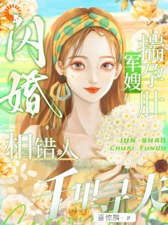 《闪婚相错人，军嫂揣孕肚千里寻夫》小说大结局在线试读 苏念念顾知野小说阅读