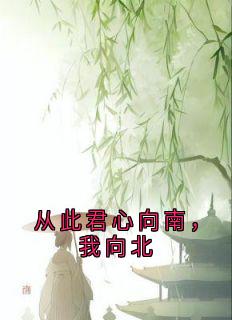 从此君心向南，我向北