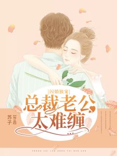 闪婚独宠：总裁老公太难缠