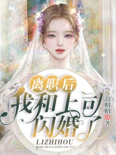 离职后我和上司闪婚了