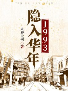 隐入华年1993