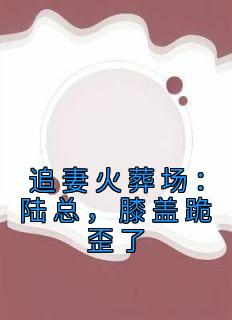 追妻火葬场：陆总，膝盖跪歪了