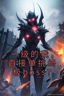 一级的我，直接单挑终极boss？