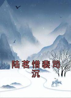 陆茗惜裴司沉