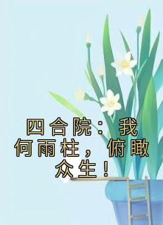 四合院：我何雨柱，俯瞰众生！