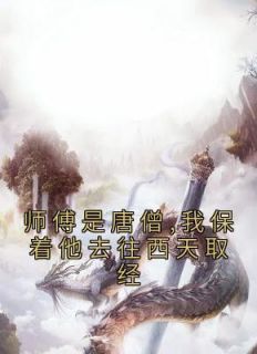 师傅是唐僧,我保着他去往西天取经