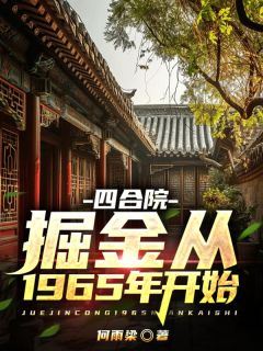 四合院：掘金从1965年开始