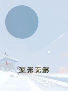 逐光无解