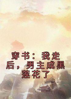 穿书：我走后，男主成黑莲花了