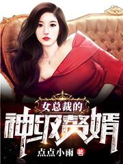 女总裁的神级赘婿